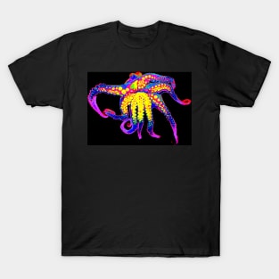 Mollusk Madness T-Shirt